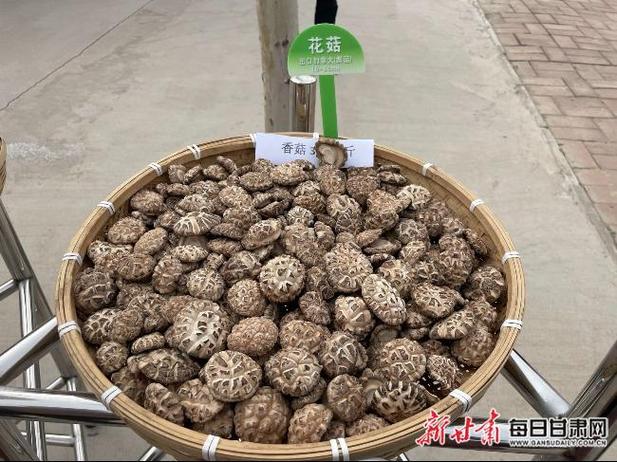 华池食用菌实现外贸出口“零突破”——庆阳全媒体采访团走进产业振兴与休闲观光新现场